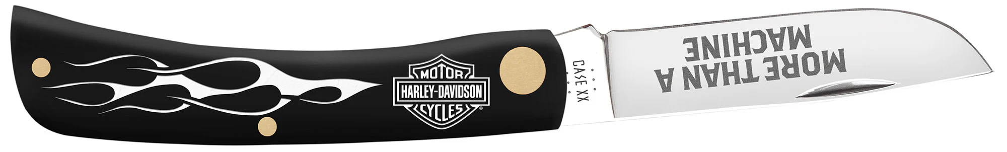 Harley-Davidson® Embellished Black Synthetic Sod Buster® Jr - Image 4