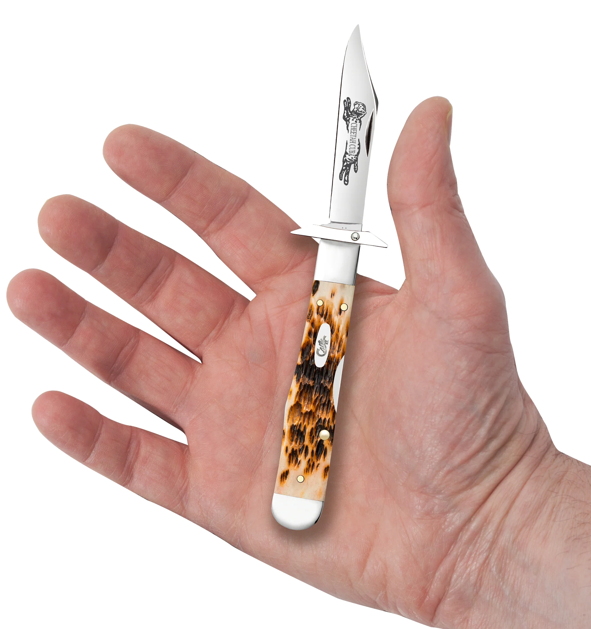 Peach Seed Jigged Amber Bone Cheetah® Cub - Image 6