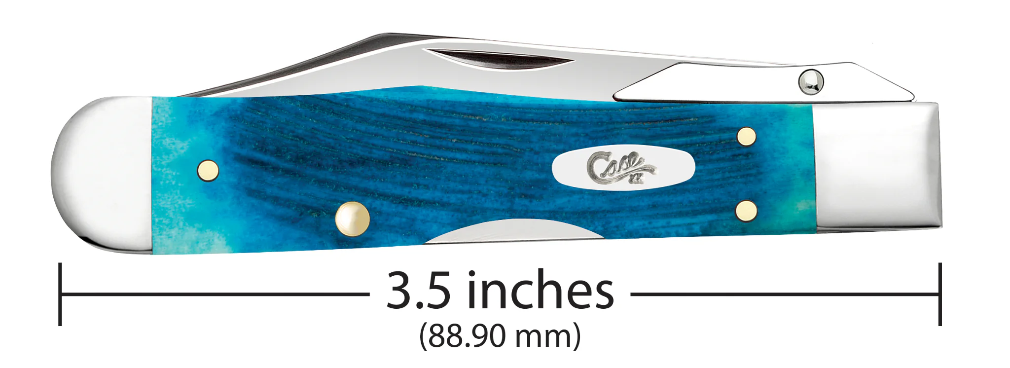 Sawcut Jigged Caribbean Blue Bone Cheetah® Cub - Image 3