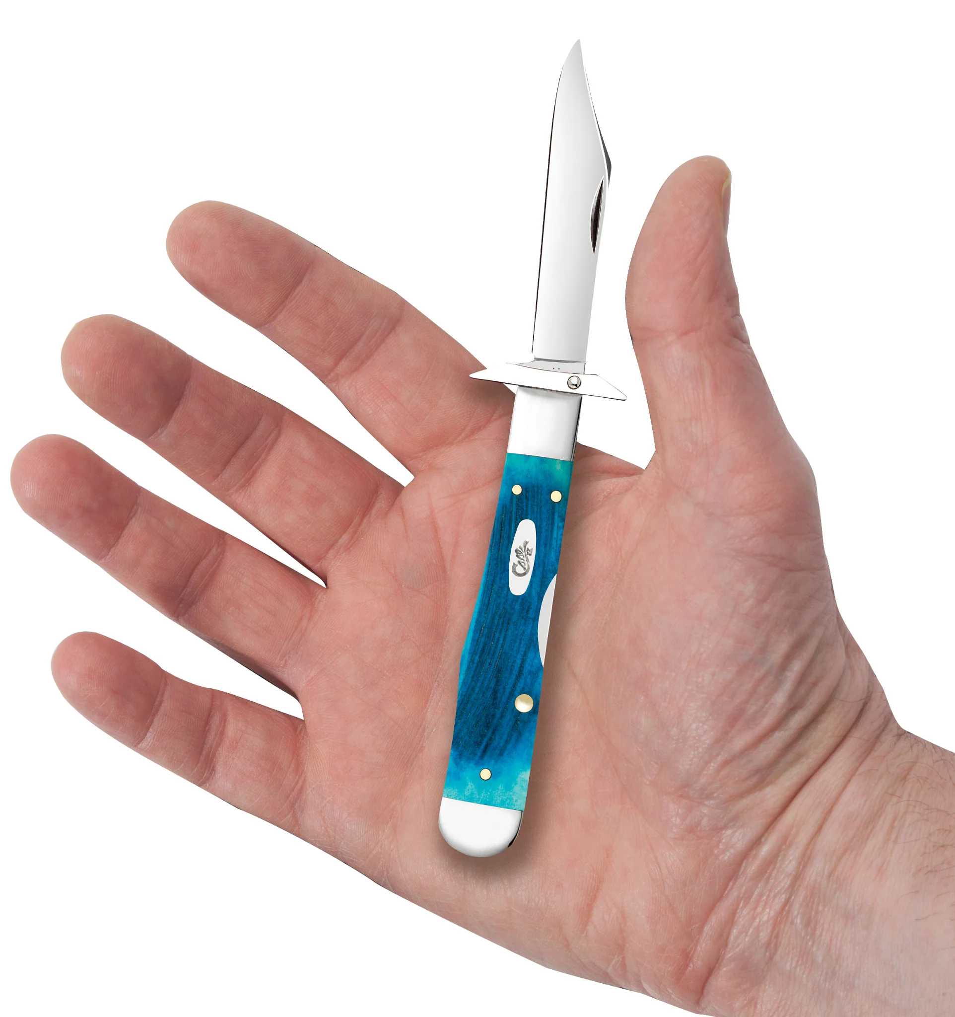 Sawcut Jigged Caribbean Blue Bone Cheetah® Cub - Image 6