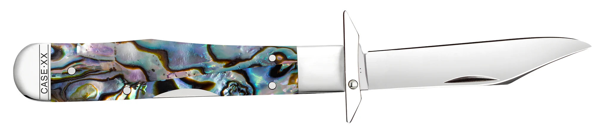 Smooth Abalone Cheetah® Cub - Image 5