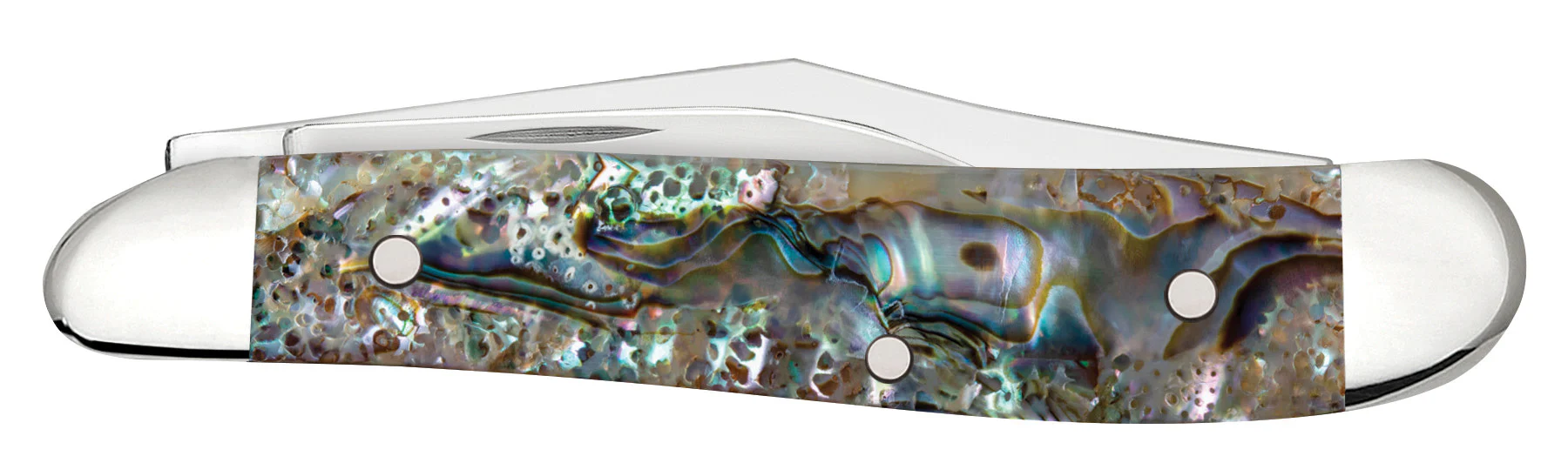 Smooth Abalone Peanut - Image 3