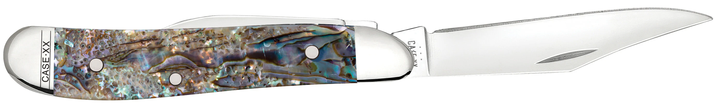 Smooth Abalone Peanut - Image 4