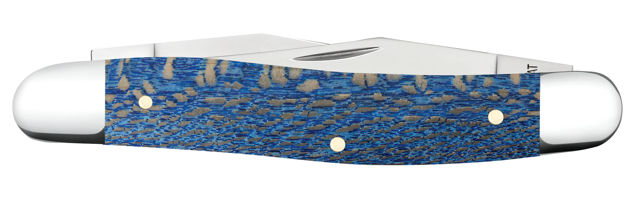 Smooth Blue Sycamore Wood Muskrat - Image 3