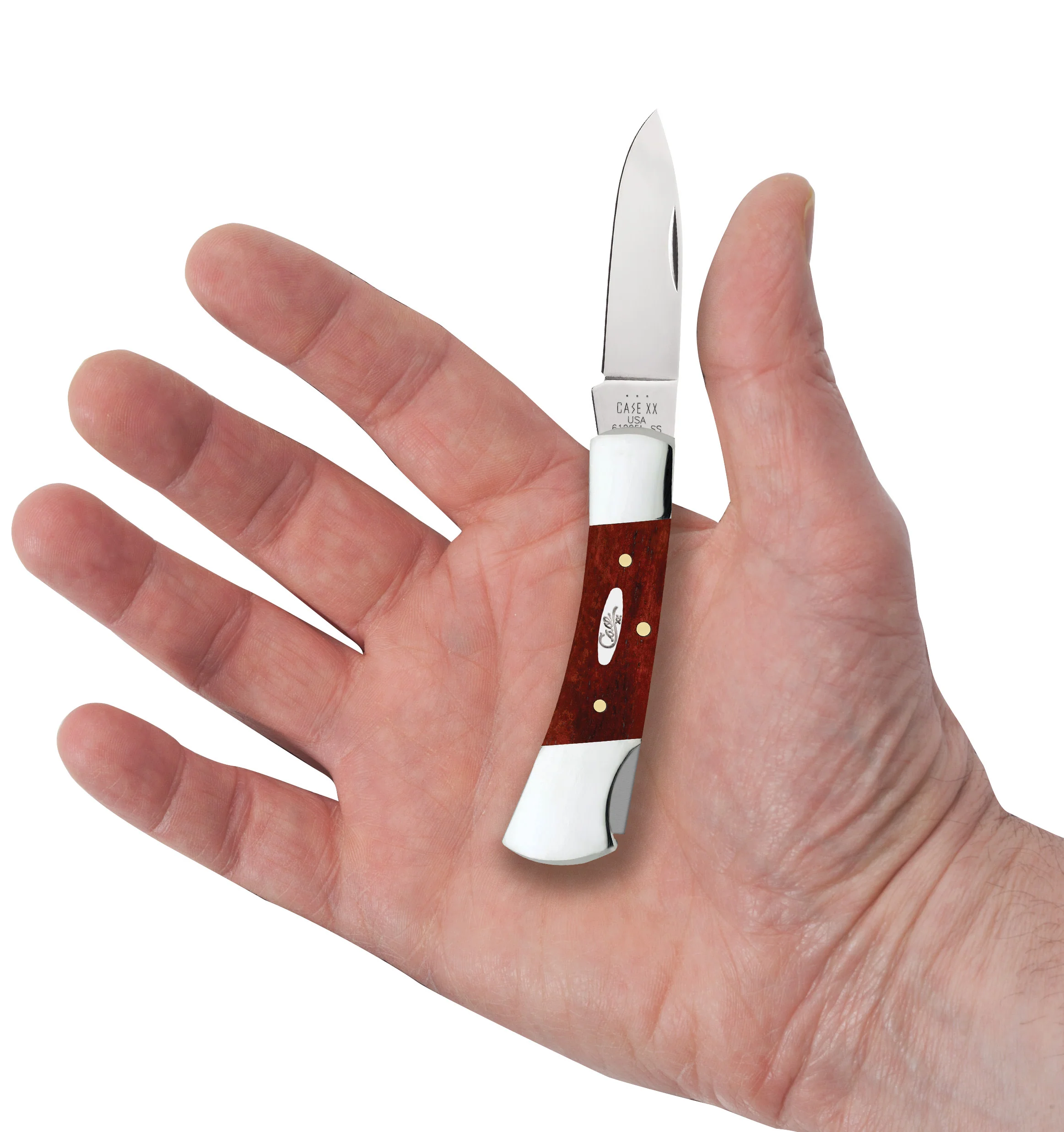 Smooth Chestnut Bone Lockback - Image 5