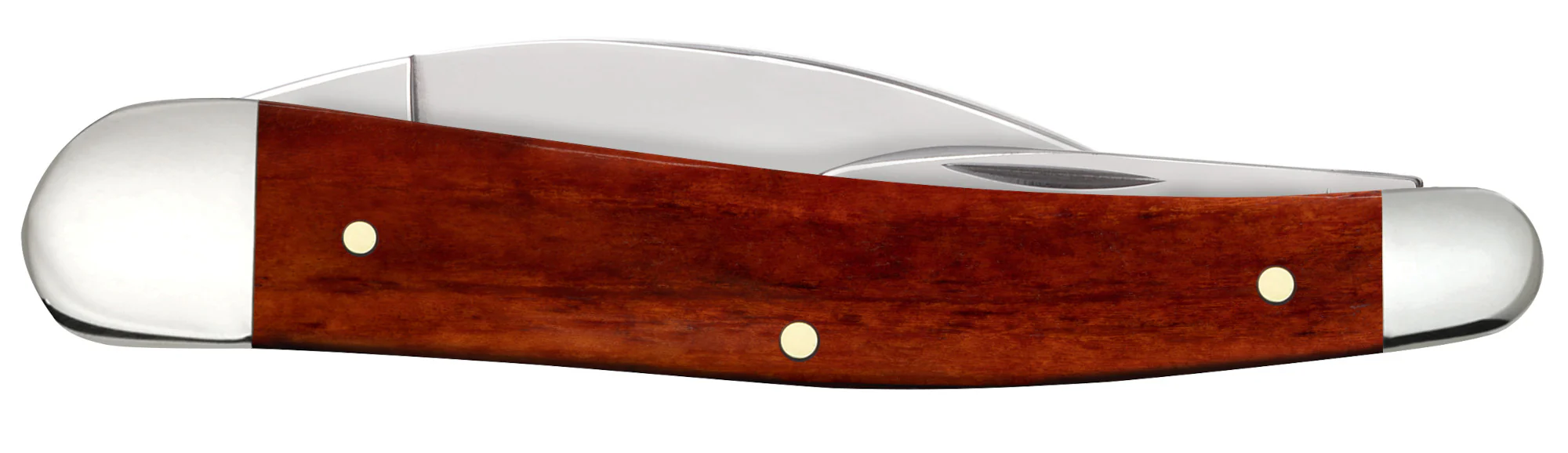 Smooth Chestnut Bone Seahorse Whittler - Image 3