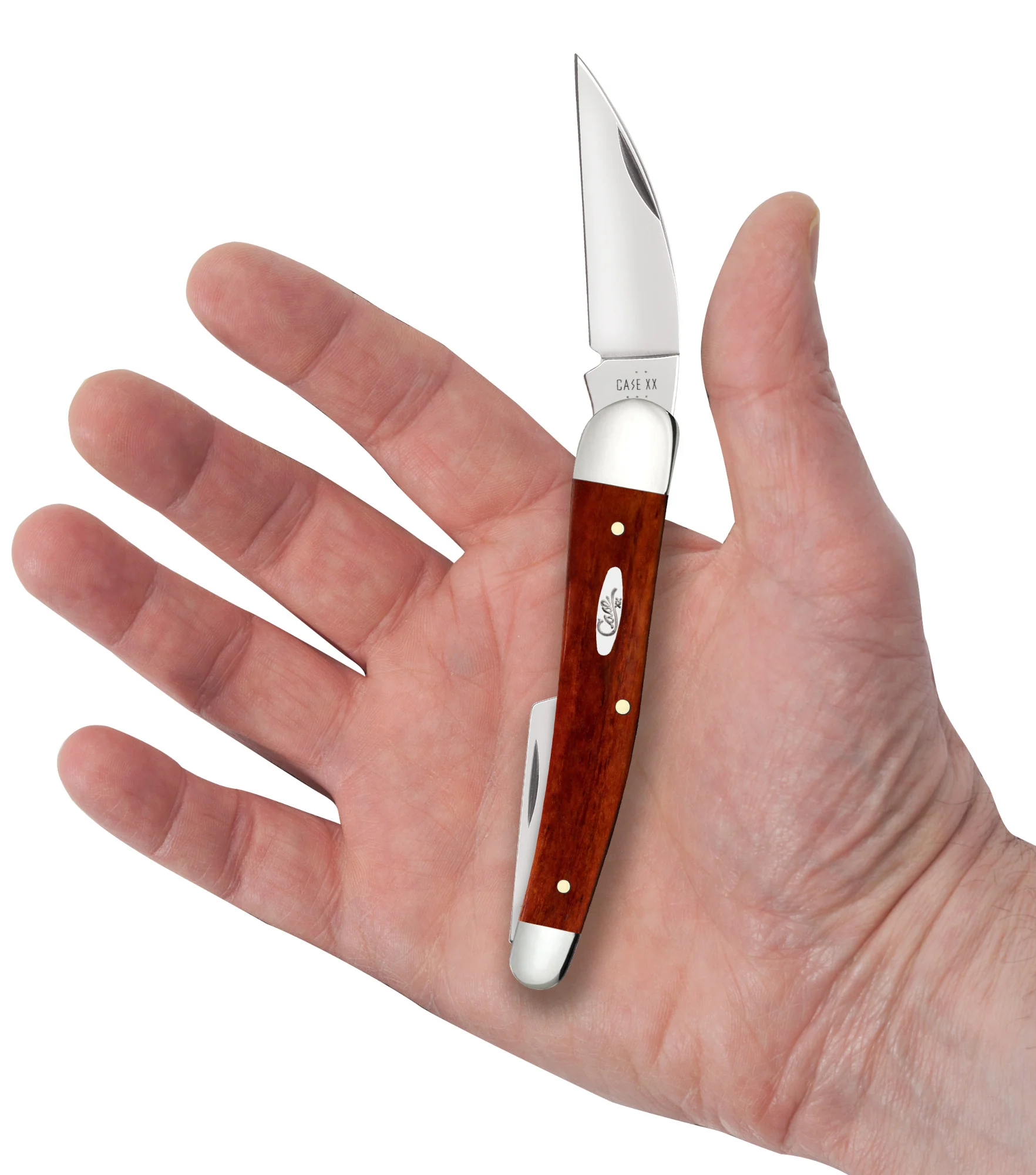 Smooth Chestnut Bone Seahorse Whittler - Image 5