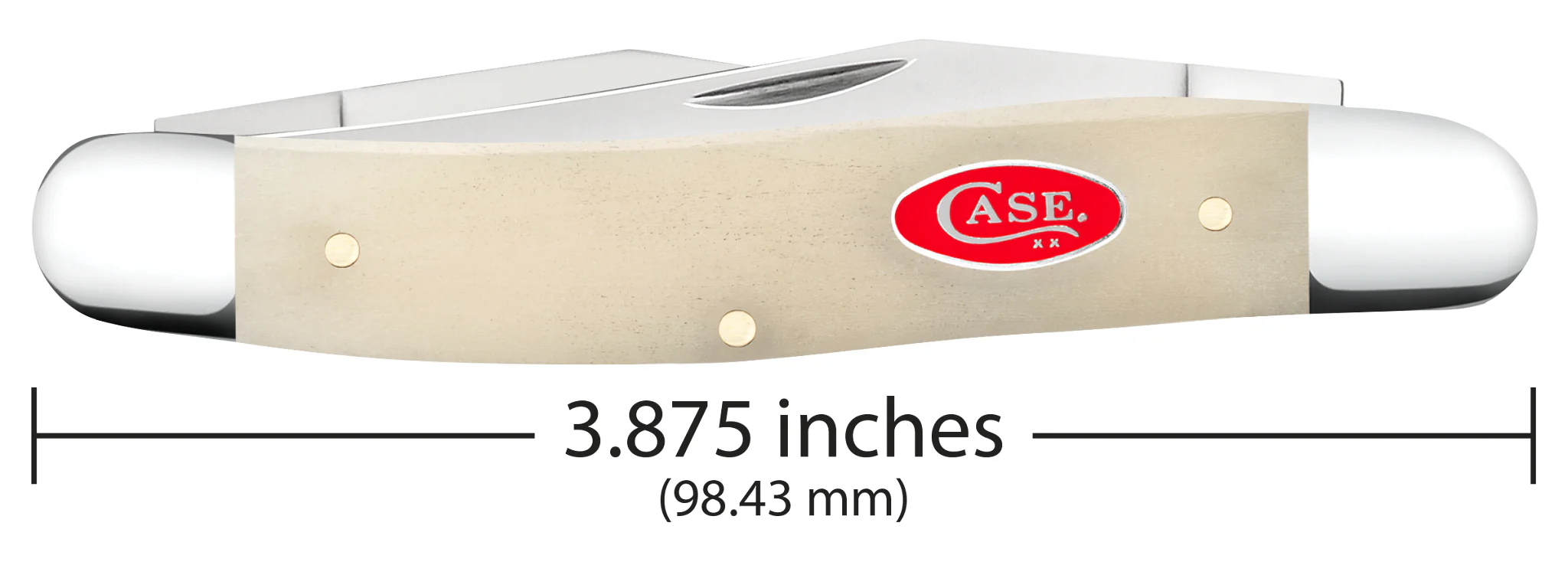 Smooth Natural Bone Muskrat - Image 2