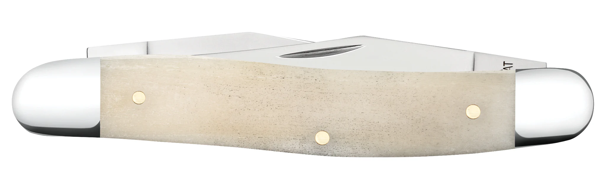 Smooth Natural Bone Muskrat - Image 3