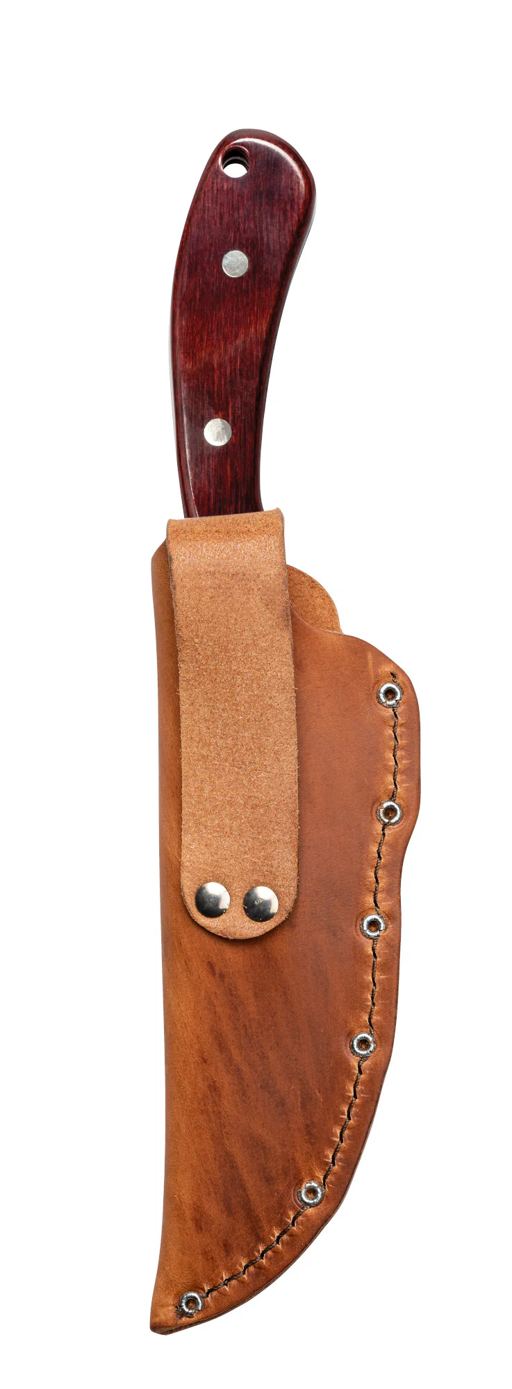 Smooth Rosewood Ridgeback® Hunter - Image 3
