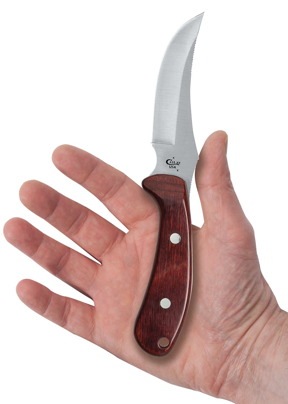 Smooth Rosewood Ridgeback® Hunter - Image 4