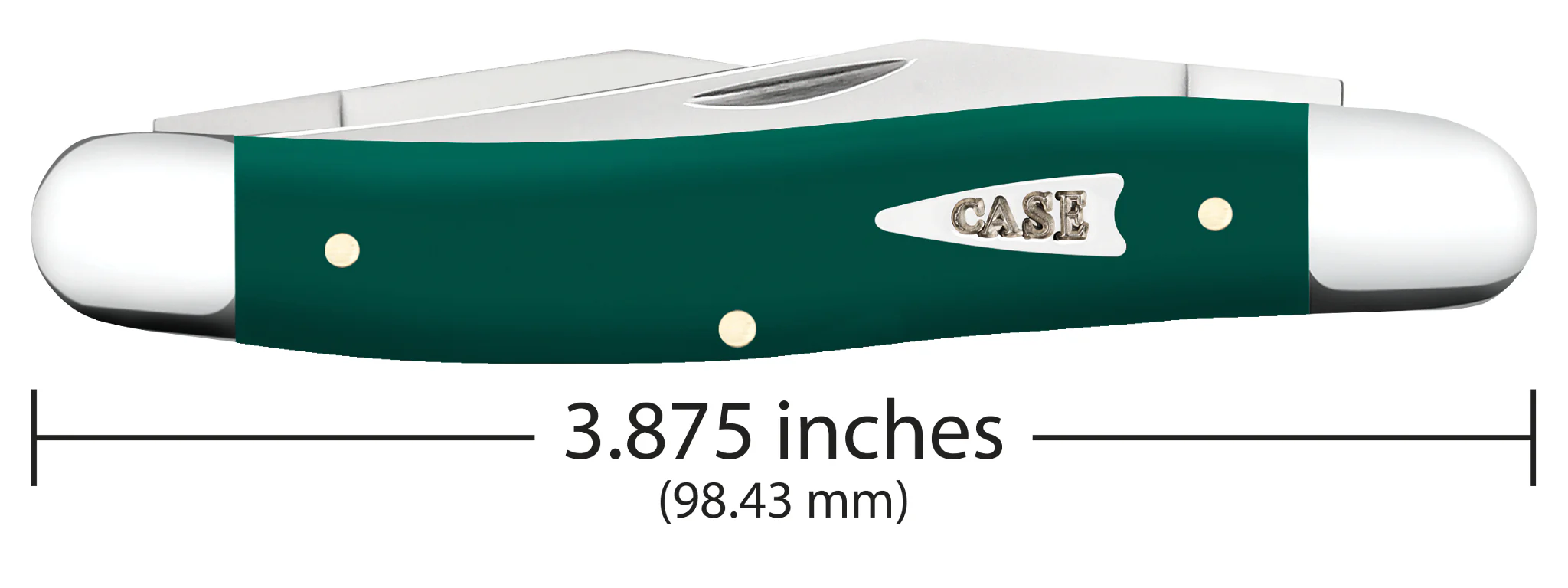 Smooth Spruce Green Synthetic Muskrat - Image 2