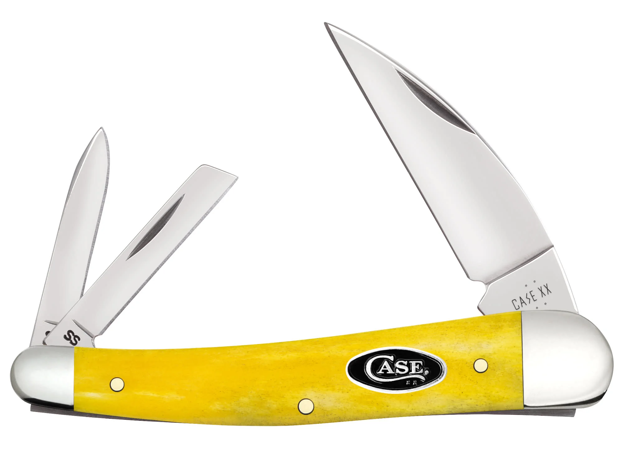Smooth Yellow Bone Seahorse Whittler