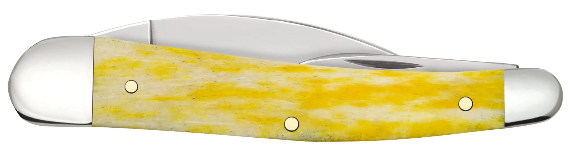 Smooth Yellow Bone Seahorse Whittler - Image 3