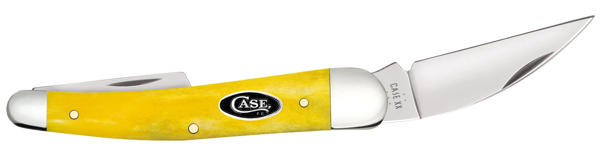 Smooth Yellow Bone Seahorse Whittler - Image 4