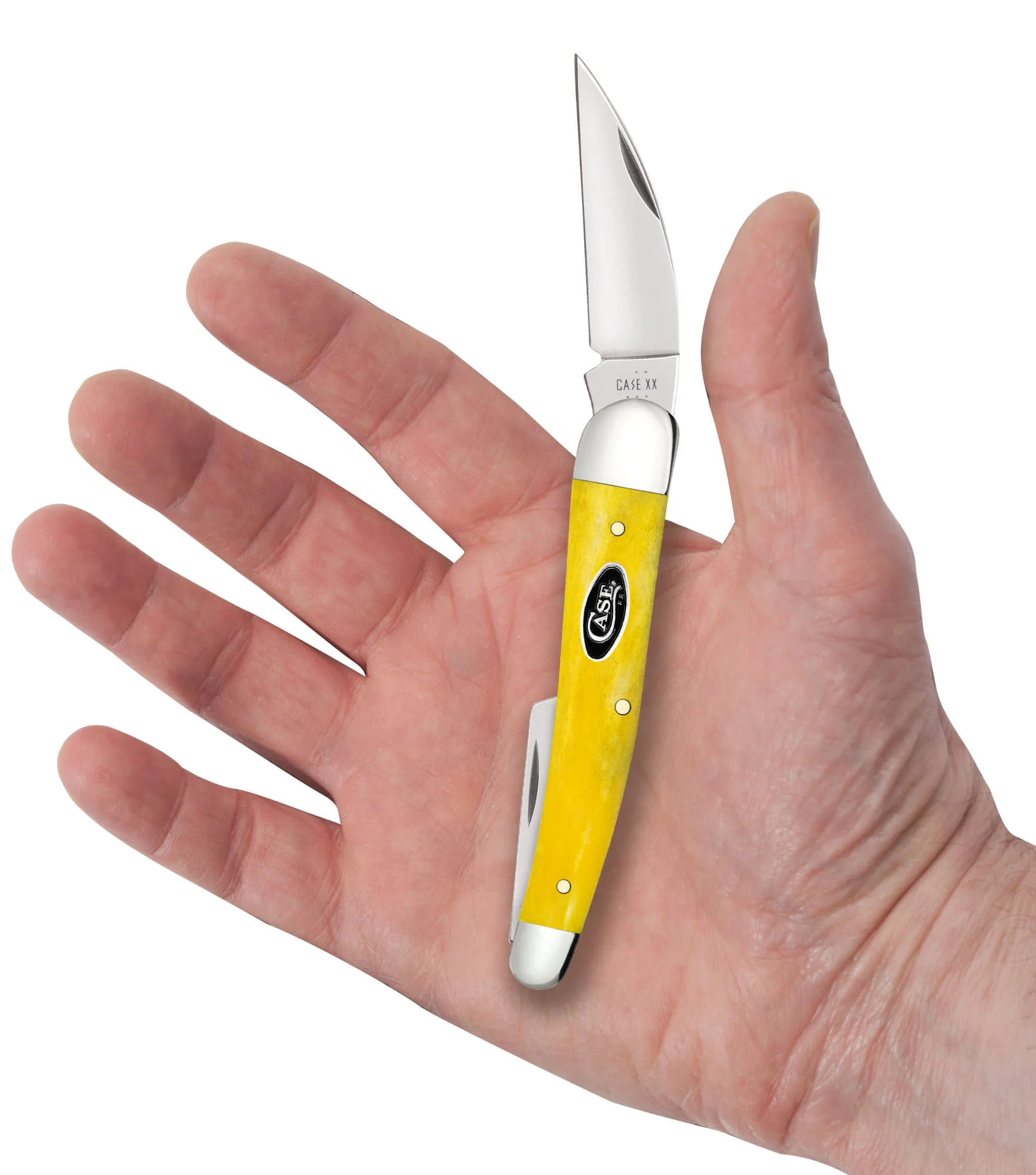 Smooth Yellow Bone Seahorse Whittler - Image 5