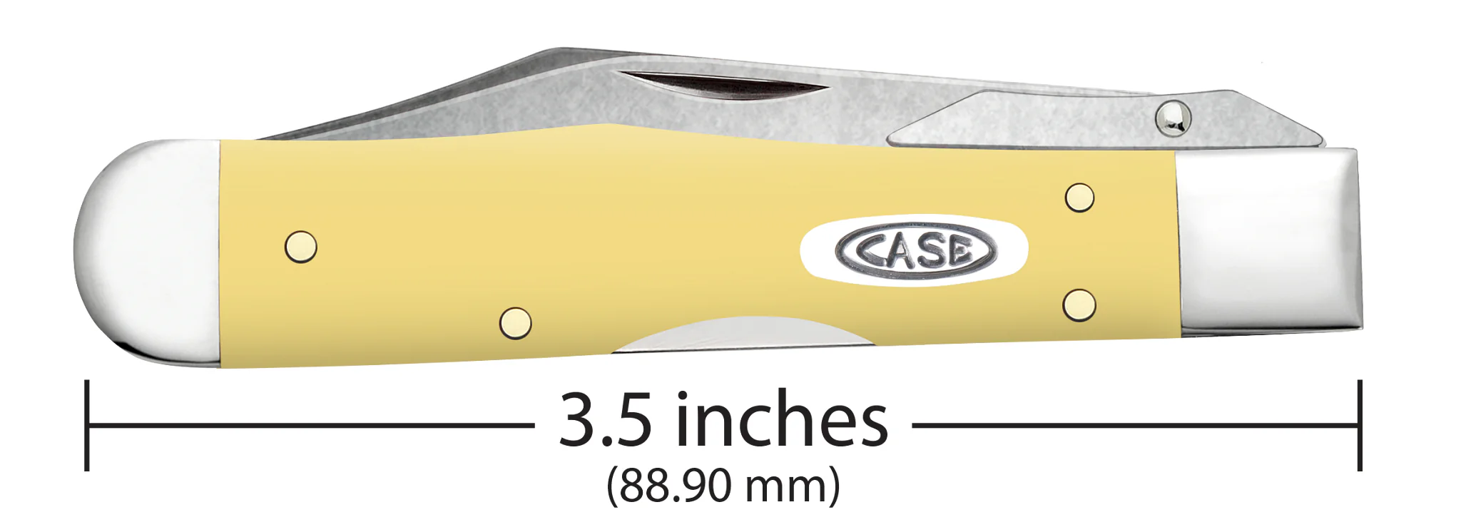 Smooth Yellow Synthetic Cheetah® Cub - Image 3