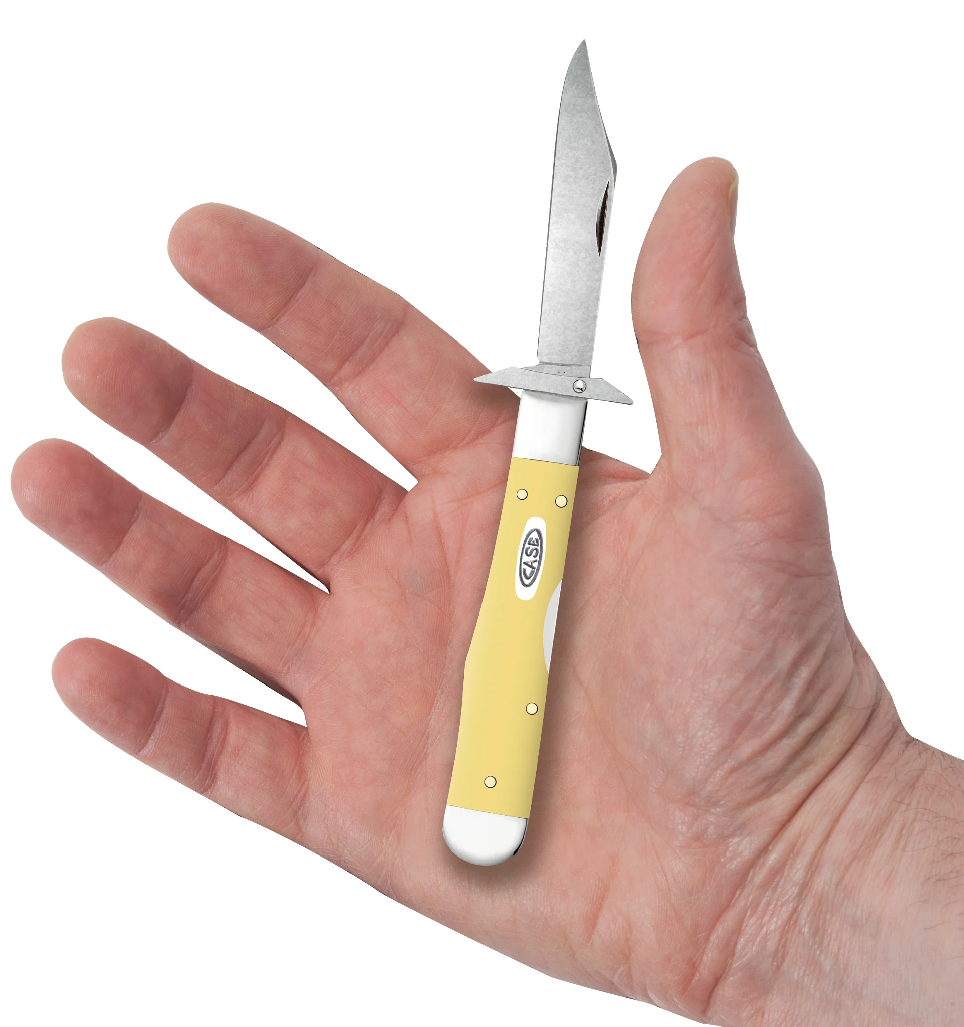 Smooth Yellow Synthetic Cheetah® Cub - Image 6