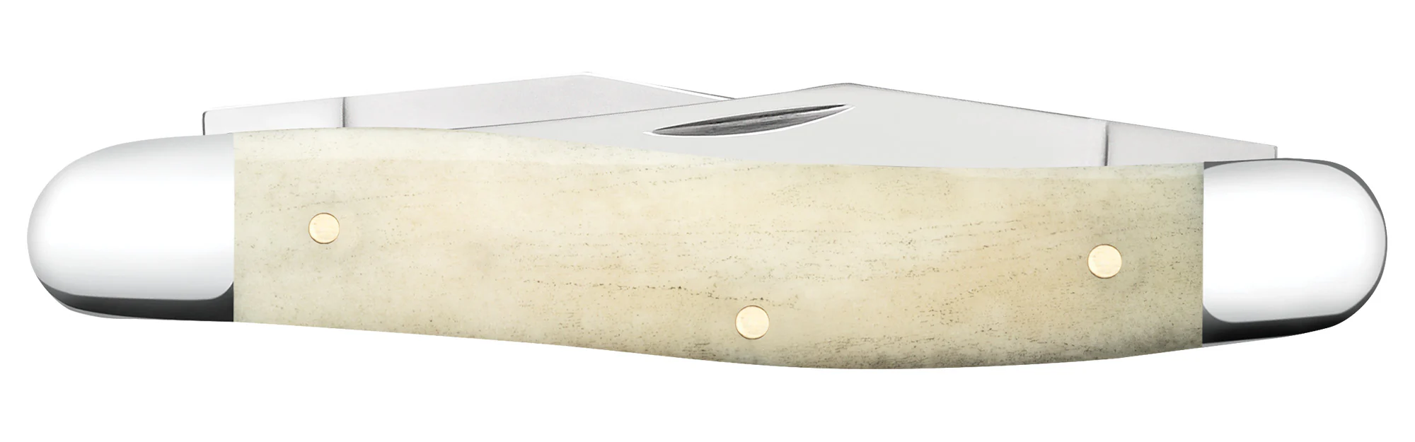 Star Spangled Series Embellished Smooth Natural Bone Muskrat - Image 3